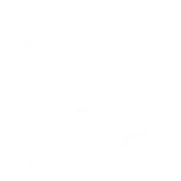 Curly Hair